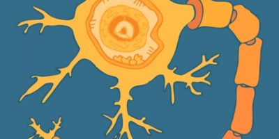 Mehr Zufriedenheit durch Dopamin-Doping - So gehts!